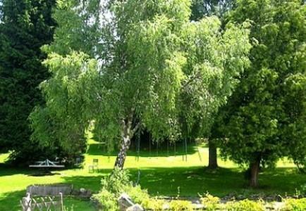 Hotel La Clairiere Chambon-sur-Dolore Dış mekan fotoğraf